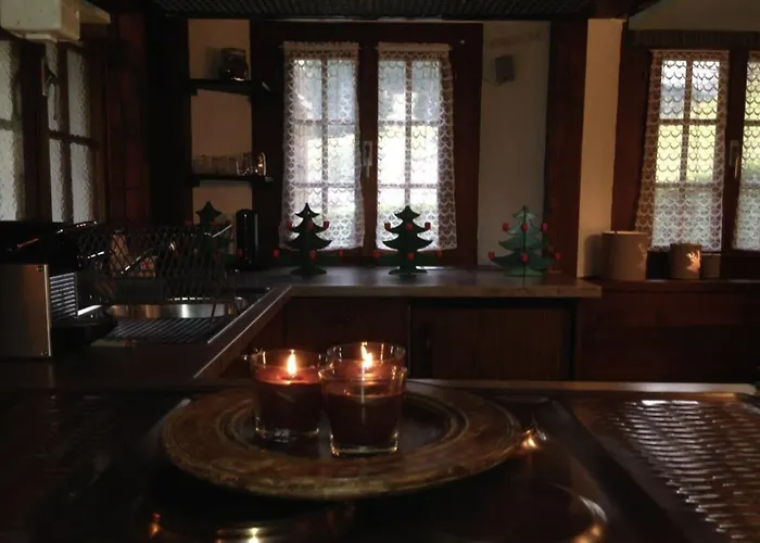 Cozy One Bedroom Flat In Gsteig